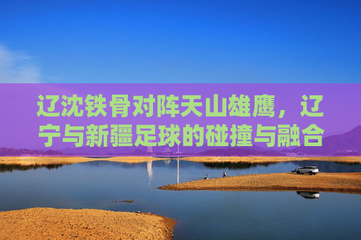 辽沈铁骨对阵天山雄鹰，辽宁与新疆足球的碰撞与融合