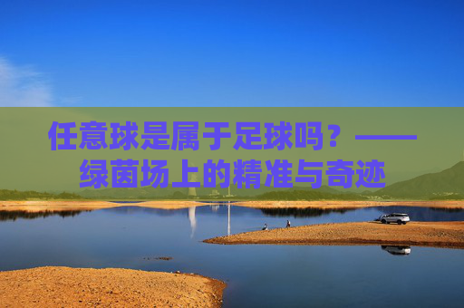 任意球是属于足球吗?——绿茵场上的精准与奇迹