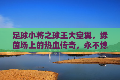 足球小将之球王大空翼,绿茵场上的热血传奇,永不熄灭的足球之魂