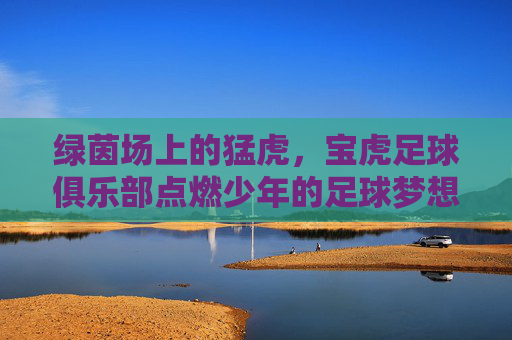绿茵场上的猛虎,宝虎足球俱乐部点燃少年的足球梦想