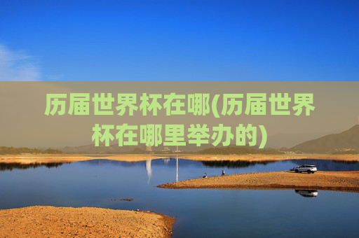 历届世界杯在哪(历届世界杯在哪里举办的)