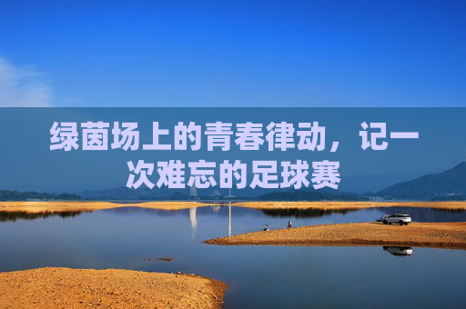 绿茵场上的青春律动,记一次难忘的足球赛