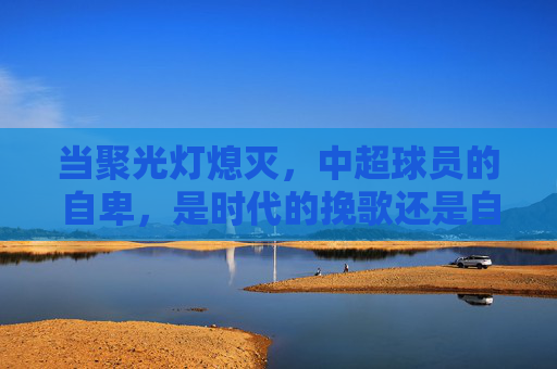 当聚光灯熄灭,中超球员的自卑,是时代的挽歌还是自省的起点?