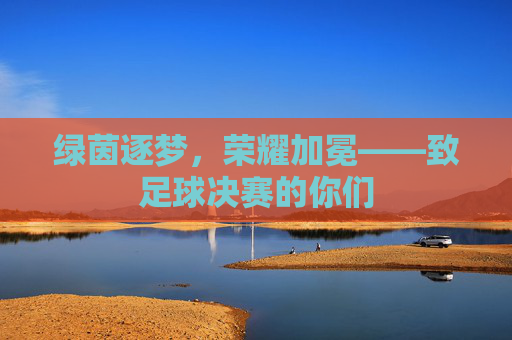 绿茵逐梦,荣耀加冕——致足球决赛的你们