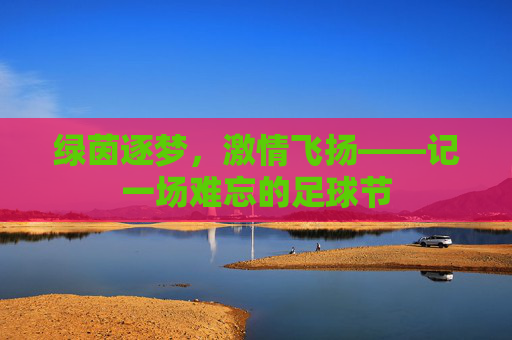 绿茵逐梦,激情飞扬——记一场难忘的足球节