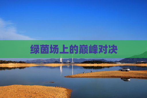绿茵场上的巅峰对决