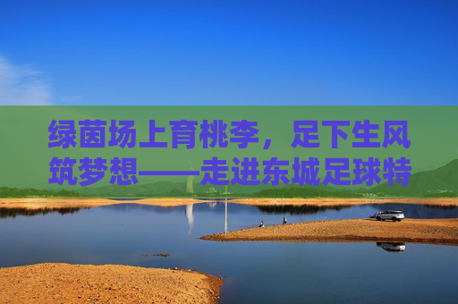 绿茵场上育桃李,足下生风筑梦想——走进东城足球特色学校