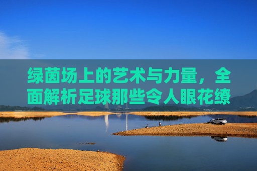 绿茵场上的艺术与力量,全面解析足球那些令人眼花缭乱的球技