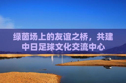 绿茵场上的友谊之桥,共建中日足球文化交流中心