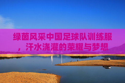 绿茵风采中国足球队训练服,汗水浇灌的荣耀与梦想
