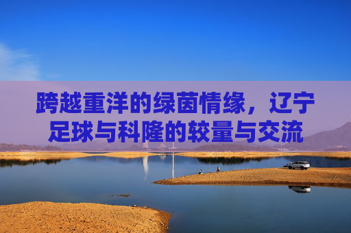 跨越重洋的绿茵情缘,辽宁足球与科隆的较量与交流
