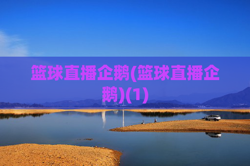 篮球直播企鹅(篮球直播企鹅)(1)