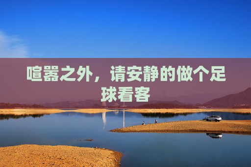 喧嚣之外,请安静的做个足球看客