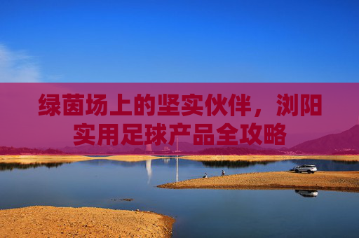 绿茵场上的坚实伙伴,浏阳实用足球产品全攻略