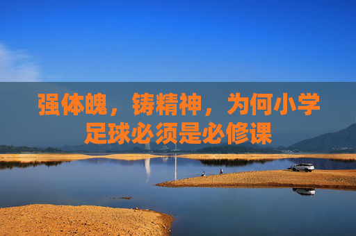 强体魄,铸精神,为何小学足球必须是必修课