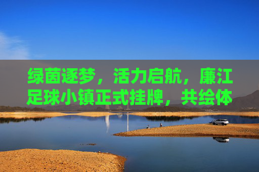 绿茵逐梦,活力启航,廉江足球小镇正式挂牌,共绘体育产业新蓝图