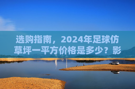选购指南,2024年足球仿草坪一平方价格是多少?影响价格的因素深度解析
