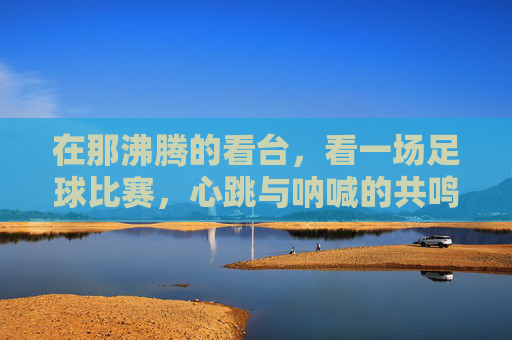 在那沸腾的看台,看一场足球比赛,心跳与呐喊的共鸣