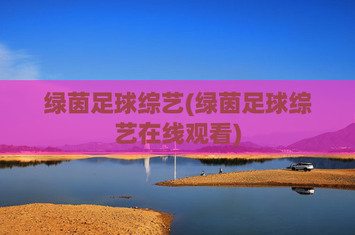 绿茵足球综艺(绿茵足球综艺在线观看)