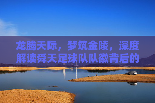 龙腾天际，梦筑金陵，深度解读舜天足球队队徽背后的精神图腾