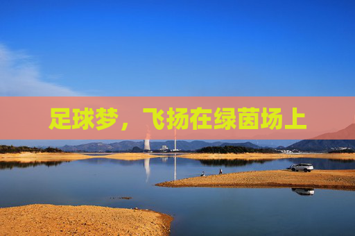 足球梦,飞扬在绿茵场上