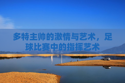 多特主帅的激情与艺术,足球比赛中的指挥艺术