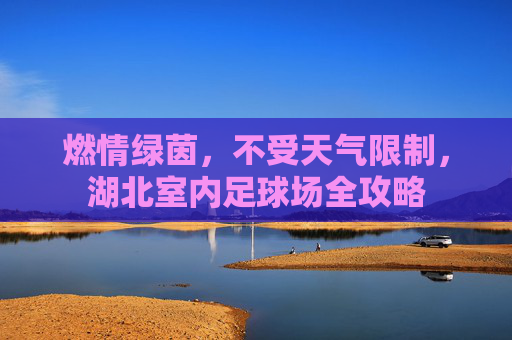 燃情绿茵,不受天气限制,湖北室内足球场全攻略