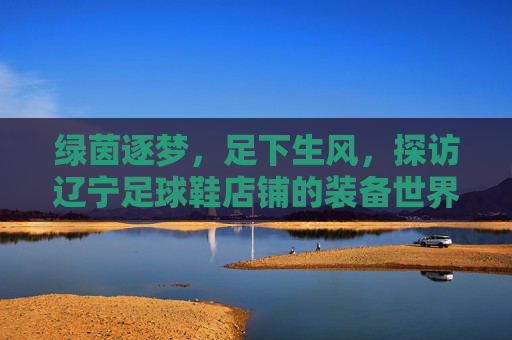 绿茵逐梦,足下生风,探访辽宁足球鞋店铺的装备世界