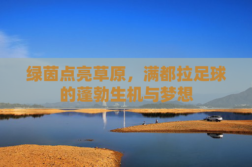 绿茵点亮草原,满都拉足球的蓬勃生机与梦想