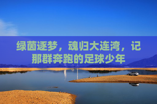 绿茵逐梦，魂归大连湾，记那群奔跑的足球少年