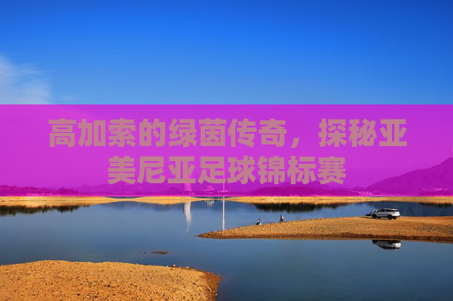 高加索的绿茵传奇,探秘亚美尼亚足球锦标赛