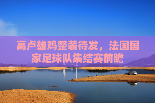 高卢雄鸡整装待发,法国国家足球队集结赛前瞻