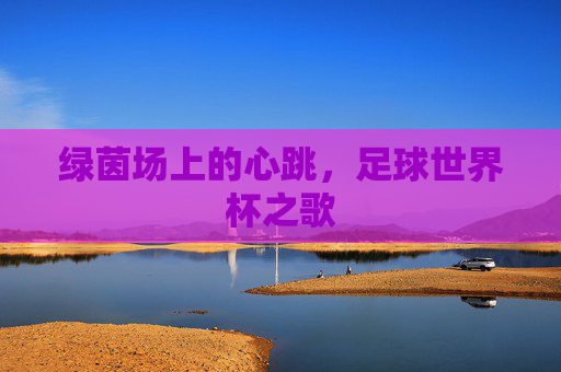绿茵场上的心跳,足球世界杯之歌