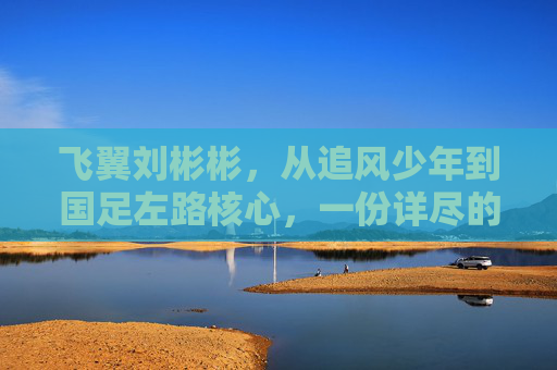 飞翼刘彬彬,从追风少年到国足左路核心,一份详尽的职业生涯简历