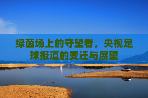 绿茵场上的守望者,央视足球报道的变迁与展望