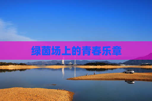 绿茵场上的青春乐章