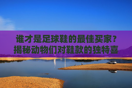 谁才是足球鞋的最佳买家?揭秘动物们对鞋款的独特喜好