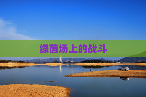 绿茵场上的战斗