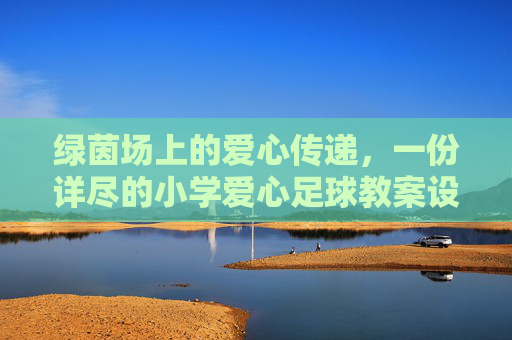 绿茵场上的爱心传递,一份详尽的小学爱心足球教案设计