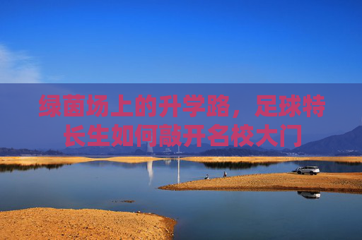 绿茵场上的升学路,足球特长生如何敲开名校大门