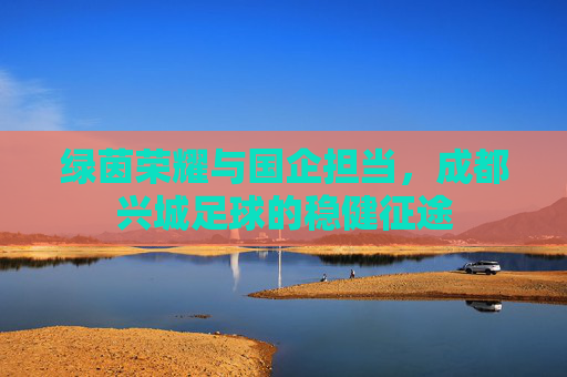 绿茵荣耀与国企担当，成都兴城足球的稳健征途