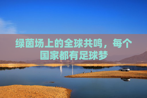 绿茵场上的全球共鸣,每个国家都有足球梦