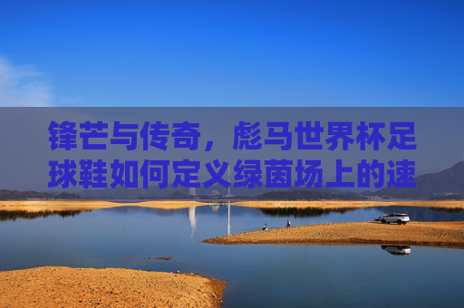 锋芒与传奇,彪马世界杯足球鞋如何定义绿茵场上的速度与激情