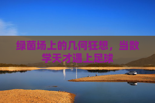 绿茵场上的几何狂想，当数学天才遇上足球