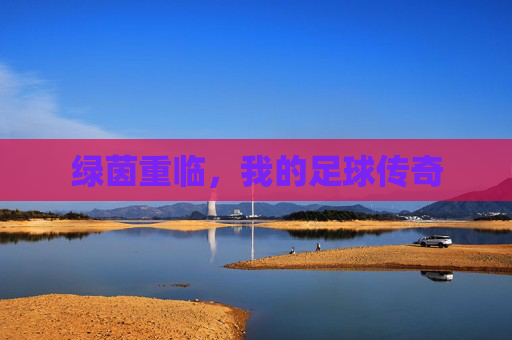 绿茵重临，我的足球传奇