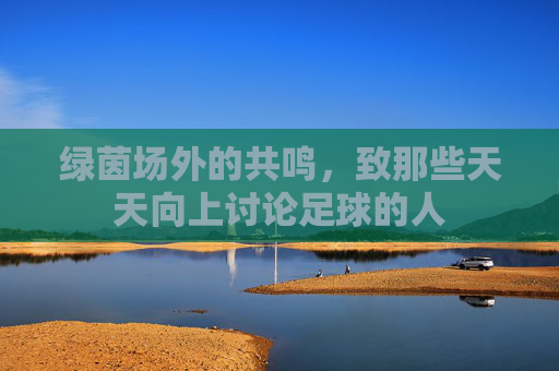 绿茵场外的共鸣,致那些天天向上讨论足球的人