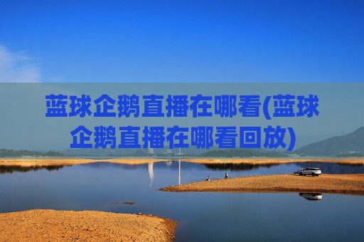 蓝球企鹅直播在哪看(蓝球企鹅直播在哪看回放)