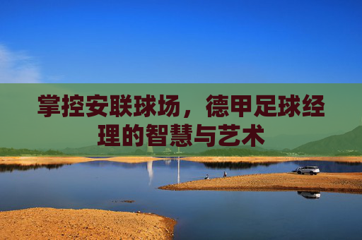 掌控安联球场,德甲足球经理的智慧与艺术