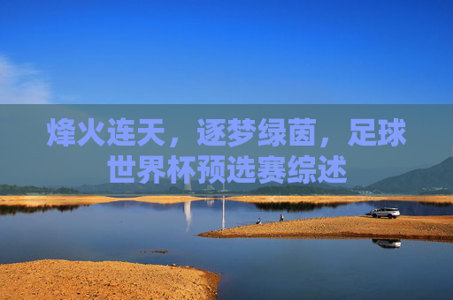 烽火连天，逐梦绿茵，足球世界杯预选赛综述
