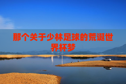 那个关于少林足球的荒诞世界杯梦